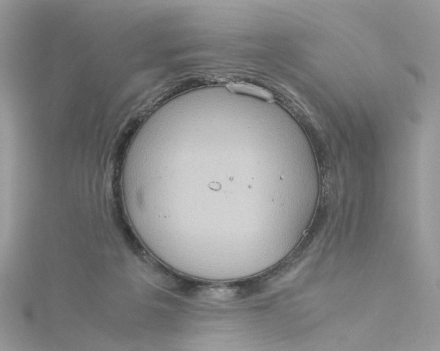 X0000115190217200911181455