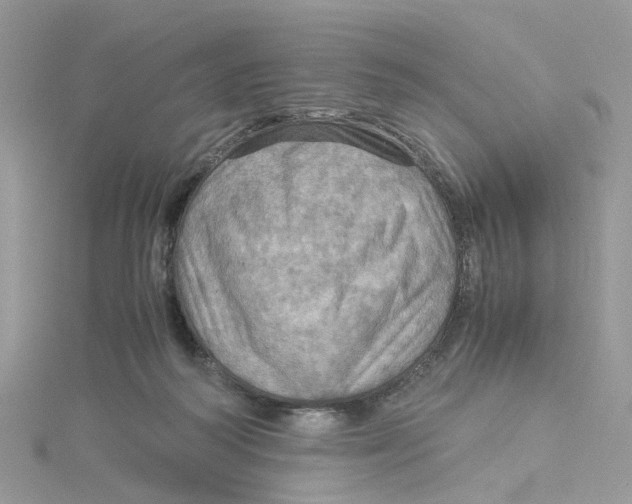 X0000115190218200911181455