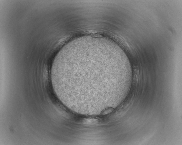 X0000115190220200911181455