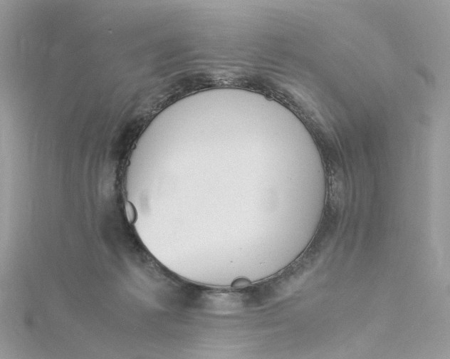 X0000115190221200911181455