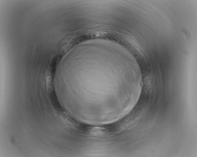 X0000115190222200911181455