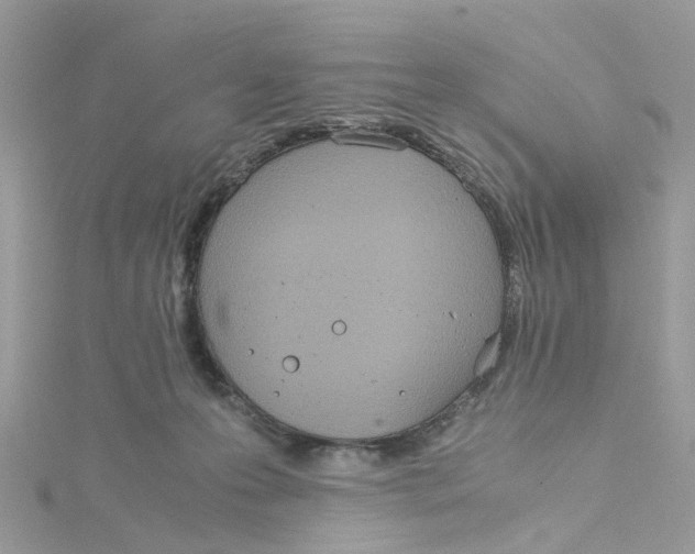 X0000115190223200911181454