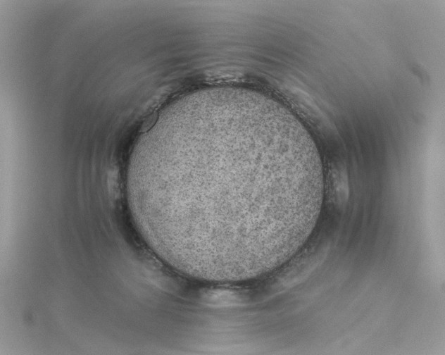 X0000115190224200911181454