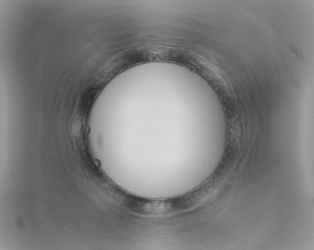 X0000115190225200911181454