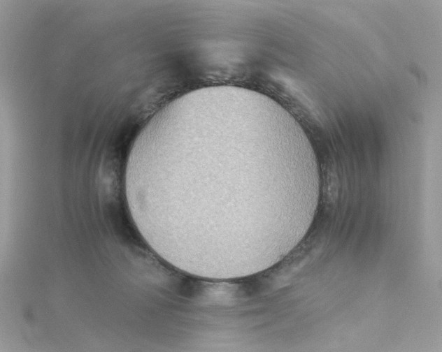 X0000115190226200911181454