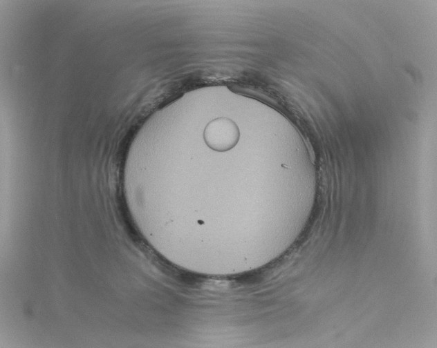 X0000115190227200911181454