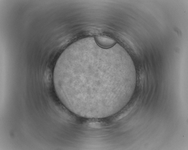 X0000115190228200911181454