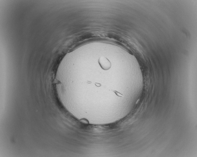 X0000115190229200911181454