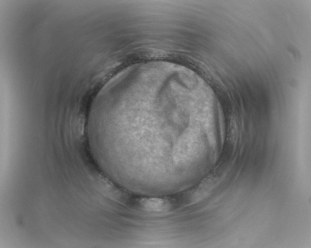 X0000115190230200911181454