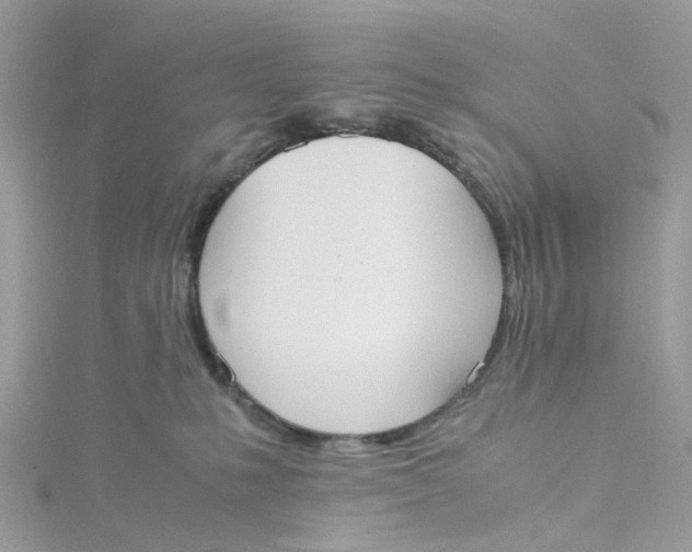 X0000115190231200911181454