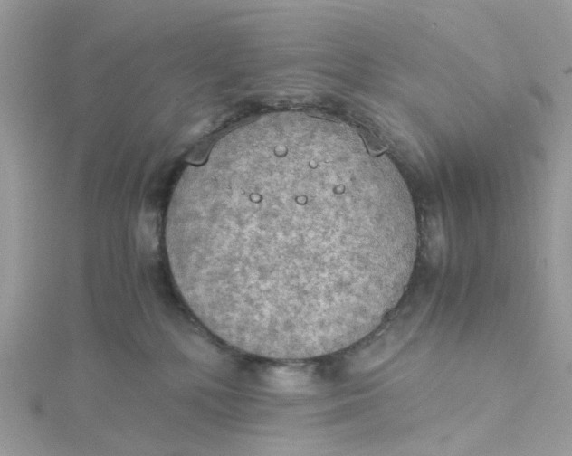 X0000115190232200911181454