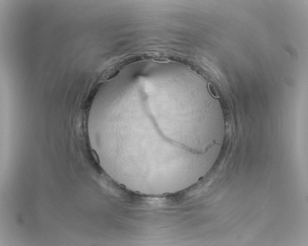 X0000115190233200911181454