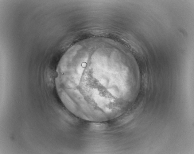 X0000115190234200911181454