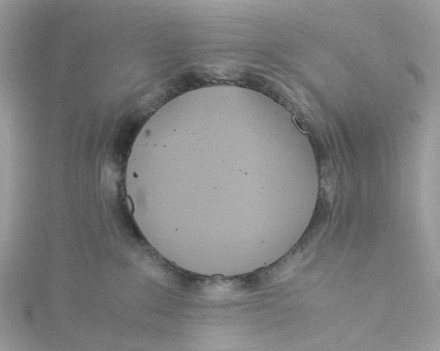 X0000115190235200911181454