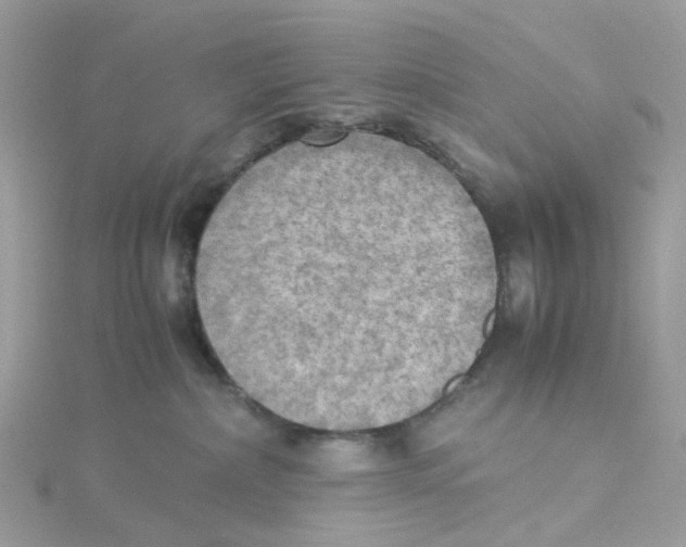 X0000115190236200911181454