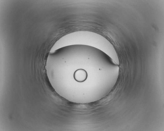 X0000115190237200911181454