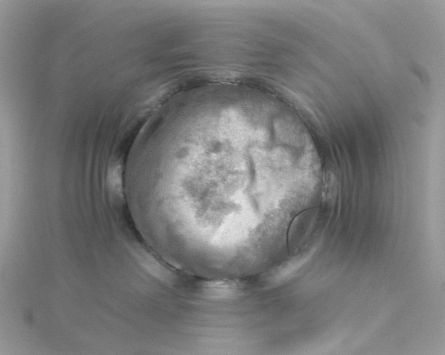 X0000115190238200911181454