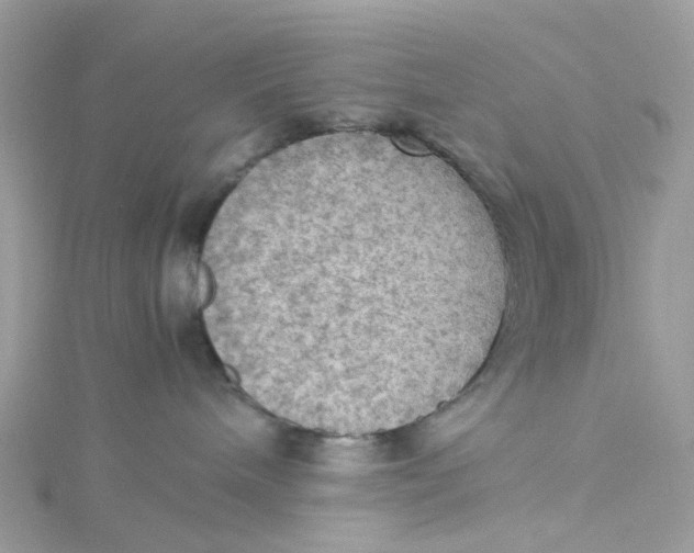 X0000115190240200911181454