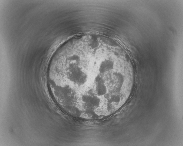 X0000115190241200911181454