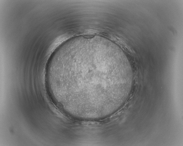 X0000115190242200911181454