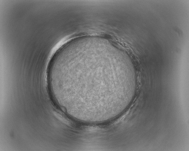 X0000115190246200911181454