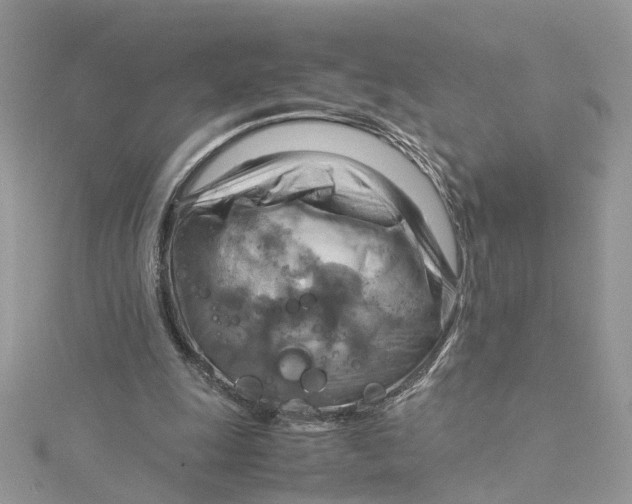 X0000115190247200911181454