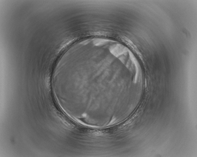 X0000115190249200911181454