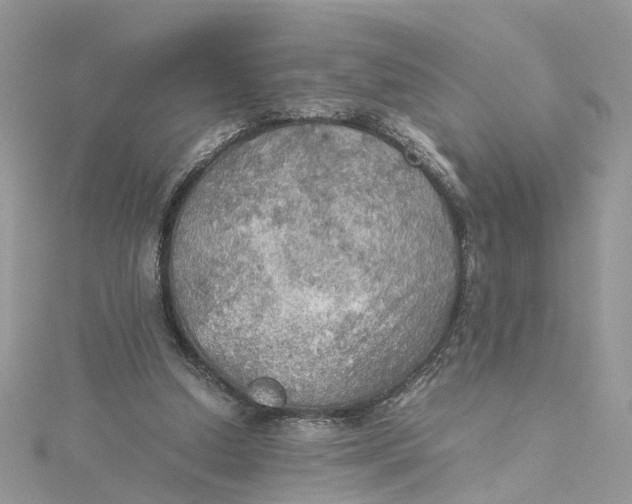 X0000115190250200911181454