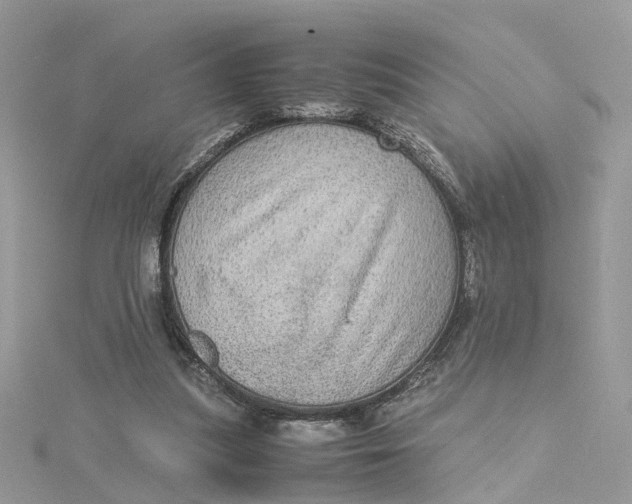 X0000115190251200911181454