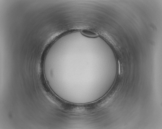 X0000115190252200911181454