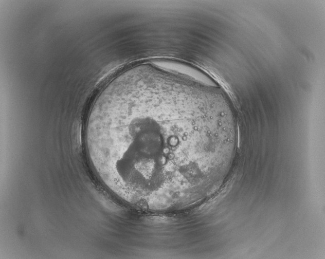 X0000115190253200911181454