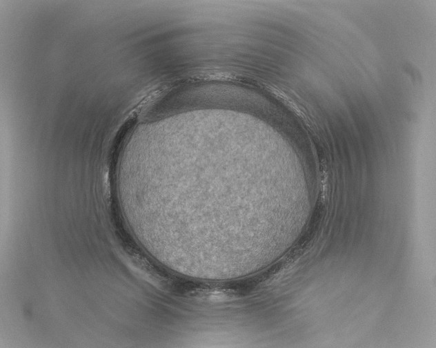 X0000115190254200911181454