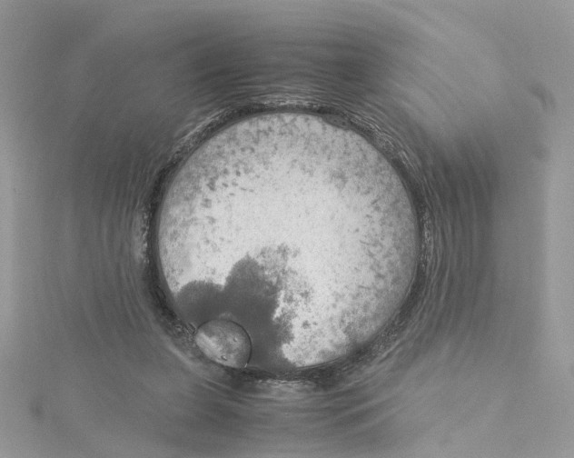 X0000115190255200911181454