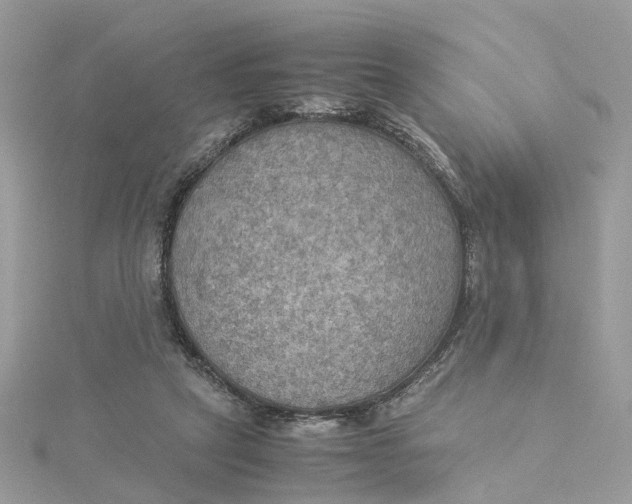 X0000115190257200911181454