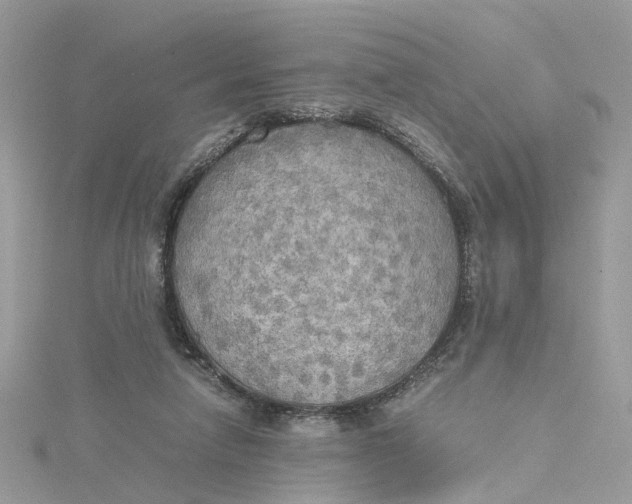 X0000115190258200911181454