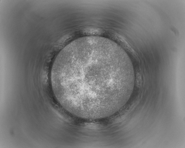 X0000115190259200911181454