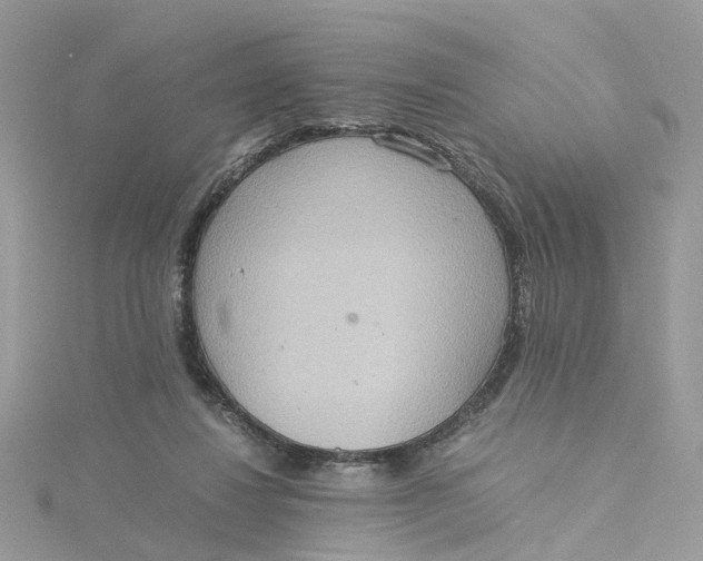 X0000115190260200911181454