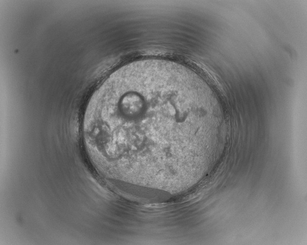 X0000115190261200911181454