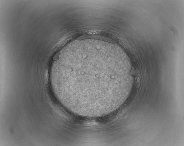 X0000115190262200911181454