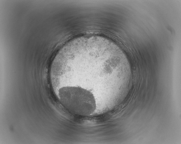 X0000115190263200911181454