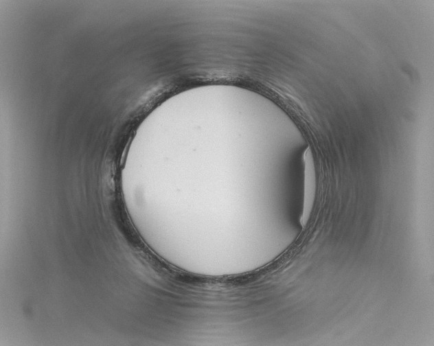 X0000115190264200911181454