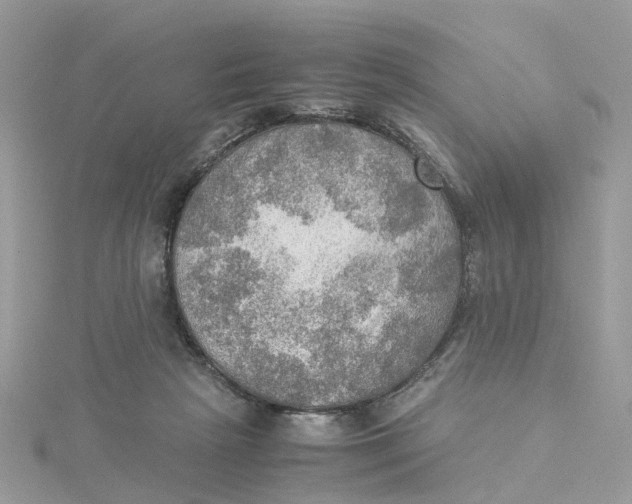 X0000115190265200911181454