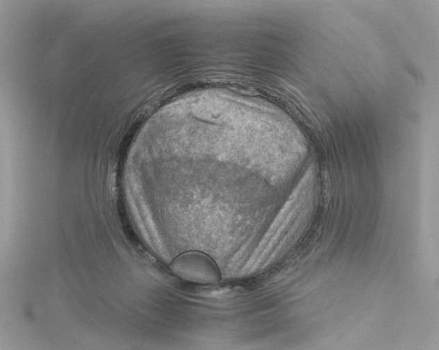 X0000115190267200911181454