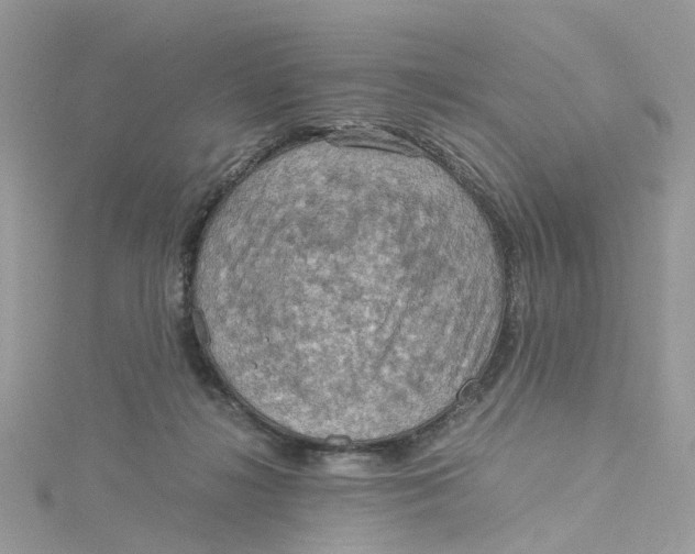 X0000115190268200911181454