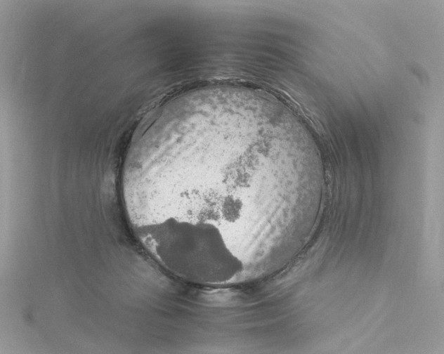 X0000115190269200911181454