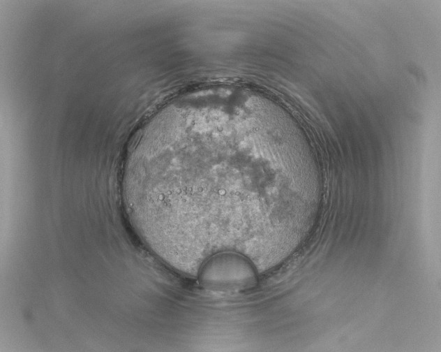 X0000115190270200911181454