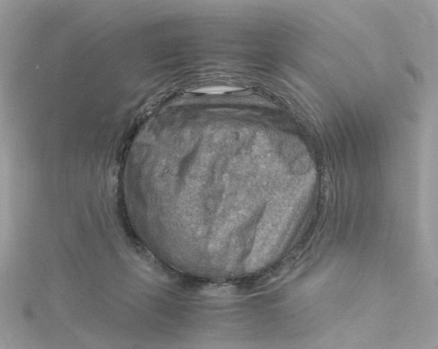 X0000115190271200911181454