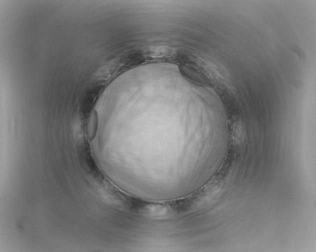 X0000115190272200911181454