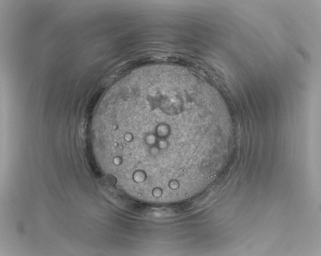 X0000115190275200911181454