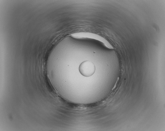 X0000115190276200911181454